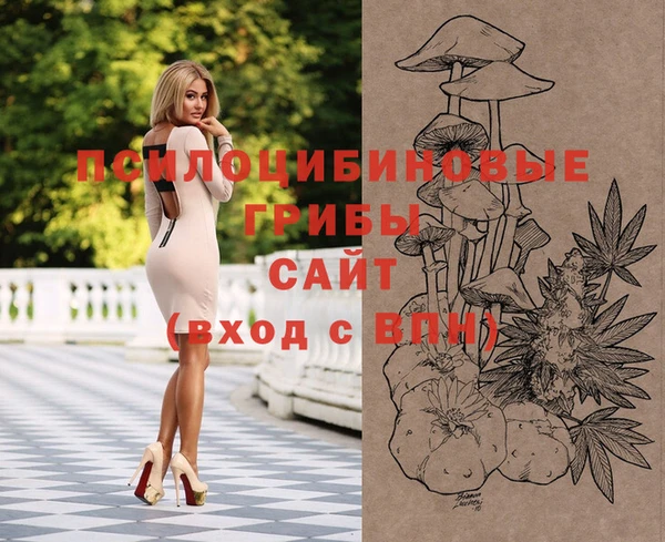 синтетический гашиш Тихвин
